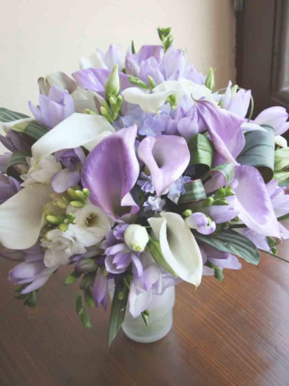 Purple Purple
