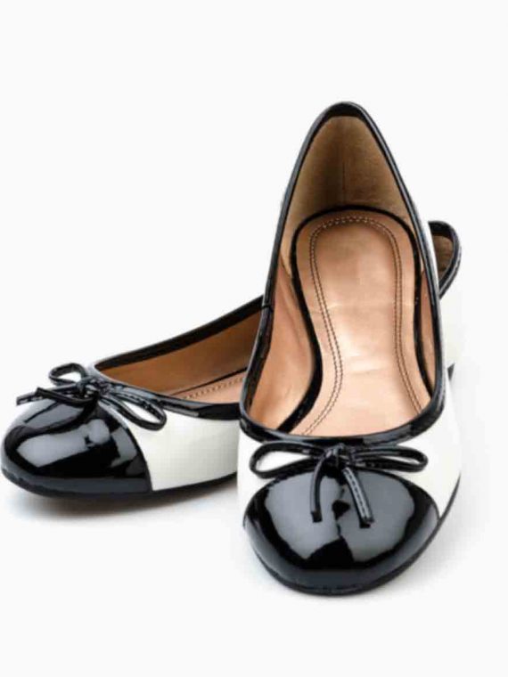 shoe shoe